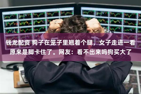 钱龙配资 狗子在笼子里翘着个腿，女子走进一看原来是脚卡住了。网友：看不出来吗狗买大了