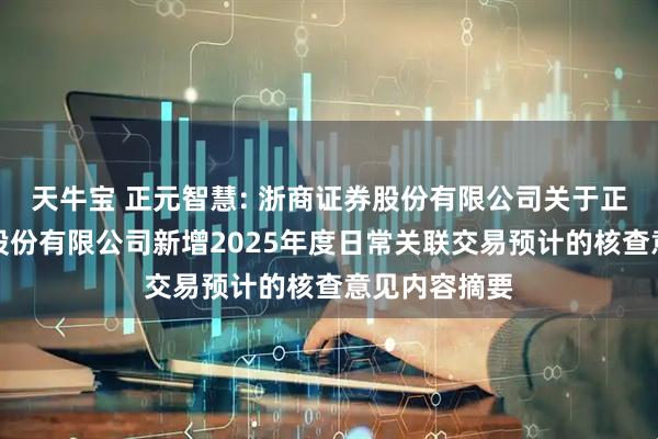 天牛宝 正元智慧: 浙商证券股份有限公司关于正元智慧集团股份有限公司新增2025年度日常关联交易预计的核查意见内容摘要