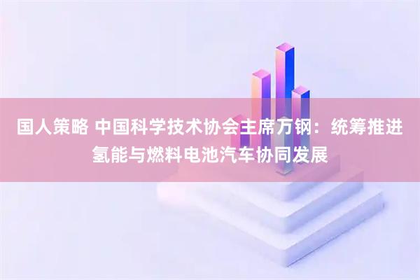 国人策略 中国科学技术协会主席万钢：统筹推进氢能与燃料电池汽车协同发展
