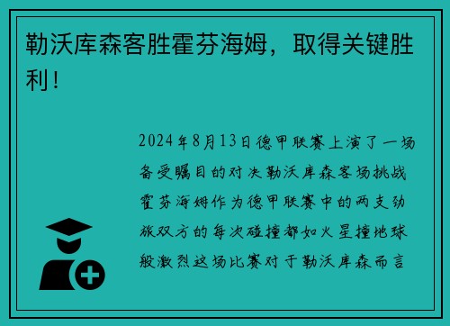 勒沃库森客胜霍芬海姆，取得关键胜利！